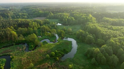 Wall Mural - beautiful morning over the forest and river - drone aerial view
