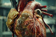 HD capture showcasing the inner workings and anatomy of the human heart.