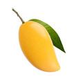 Yellow mango fruit with green leaf isolated white background