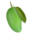 Green mango fruit with leaf isolated white background