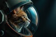 Ultra-realistic portrait of a cat dressed as an astronaut, gazing into the distance