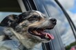 Joyful dog with its head out of a car window, tongue out, and wind in its fur