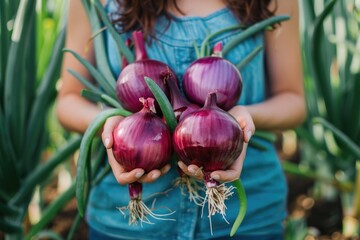 Wall Mural - Harvest Food. Woman Holding Fresh Organic Onion from Agriculture Outdoors