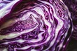 Food Macro: Moody Half Red Cabbage with Textured Layers at Farmers Market