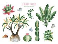Watercolor Collection With Tropical Plants-succulents,cactus,dragon Trees,palm And More. Perfect For Your Project, Wedding, Invitations, Wallpapers, Prints, Textile Etc