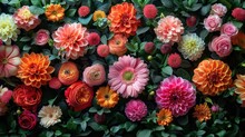 A Colorful Bouquet Of Flowers With A Variety Of Colors Including Pink, Orange