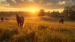 Horses grazing in a pasture at sunrise
