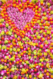 Fototapeta  - Natural colorful background made of tulips.