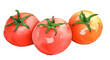 新鮮なトマトの水彩画。AI生成画像。