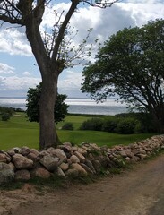 A field with trees near the sea - golf course