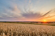 Spectacular sunset over a rural farmland landscape