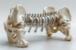 Artistic Elephant Sculpture with Metallic Spine on White Background