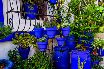  blue house in the historic Santa Cruz district of Alicante Spain