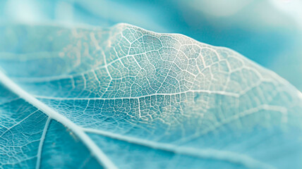 Pastel blue leaves structure, leaf background with veins and cells, translucent with light pastel colors