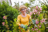 Fototapeta Na drzwi - Portrait of happy senior woman gardening. She is pruning flowers.