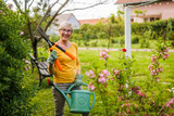 Fototapeta Na drzwi - Portrait of happy senior woman gardening.