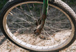 Old dirty rusty bicycle wheel with rubber tire close-up outdoors.