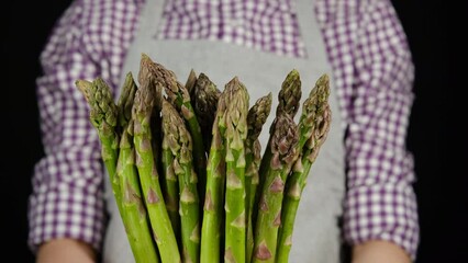 Poster - Fresh green asparagus green bunch in woman hands