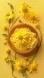 Yellow arnica extract powder flower organic ingredient story background