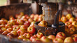 A close-up of a hand-cranked apple cider press squeezing the last drops of golden liquid from a mound of ripe apples.
