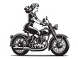 Beautiful young woman riding a motorcycle. Pin up blonde. vintage black isolated illustration, icon, emblem
