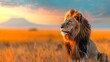 Majestic Lion in Golden Savannah at Sunset. Wildlife King against Mount Kilimanjaro Backdrop. A Perfect Image for Decorating and Design Projects. AI