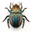 Illustration of a Scarab Beetle on a White Background