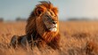 Savanna Majesty: Lion in Golden Light, generative ai