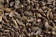 Anise seeds close-up. Macro photography. Anise seeds close up. Lots of anise seeds. Anise seeds background. 
