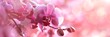 Close up view of elegant pink orchid flowers in stunning motion, captured with captivating detail