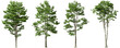 Tropics serene trees form set environmental cut on transparent backgrounds 3d illustrations png