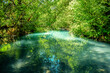 Magical Aquamarine Waters of Calm Creek Feeding the Hoh River