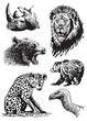 Graphical collection of African animals on white background, vector illustration