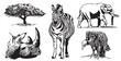 Graphical collection of African animals on white background, vector illustration