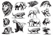 Graphical big set of African animals on white background, vector illustration	

