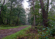 Wonderfully quiet during the early morning in the Sprieldersbos, Netherlands