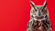 Majestic owl with piercing gaze against vibrant red background