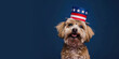 Cute dog Dress in a 4th of July Hat with Space for Copy