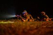 Soldiers in camouflage uniforms aiming with their rifles.ready to fire during Military Operation at night, soldiers training  in a military operation