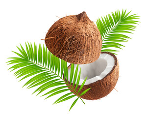 Wall Mural - two halves of a coconut in flight with palm leaves isolated on a transparent background.