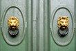 elegant door with golden lion-shaped door knocker
