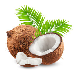 Wall Mural - Coconuts with palm leaves isolated on transparent background.