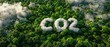 Aerial view of a lush, dense forest with clouds above forming the letters 