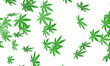 Many green cannabis leaves flying isolated on white background. 3d rendering     