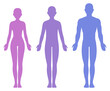 Male, female and unisex body silhouette
