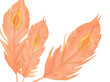 Watercolor orange Phoenix Feathers, hand painted phoenix Feathers