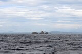 Fototapeta Konie - Two Brothers Islands in the Amur Bay