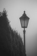 Monochrome photo of a lamp post in a foggy atmosphere