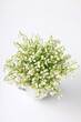 Lilies of the valley in a white jug on a white background without leaves, isolated.