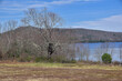  the landscape of  the quabbin from hanks meadows
